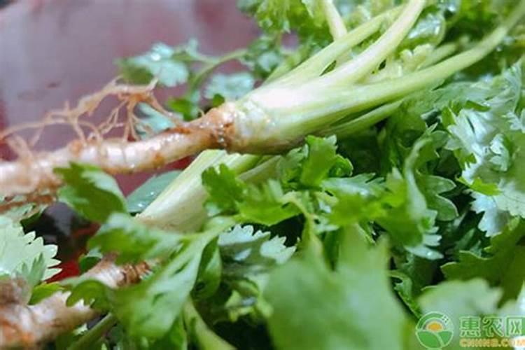 常见的肥料中:氮,磷,钾各对植物有什么作用