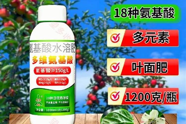 草莓挂果期用什么肥料