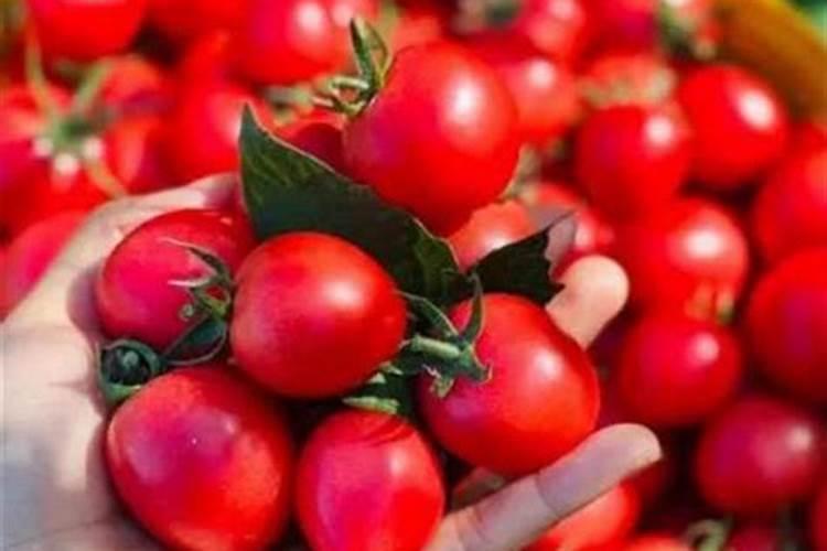 硫酸钾肥多少钱一袋100斤