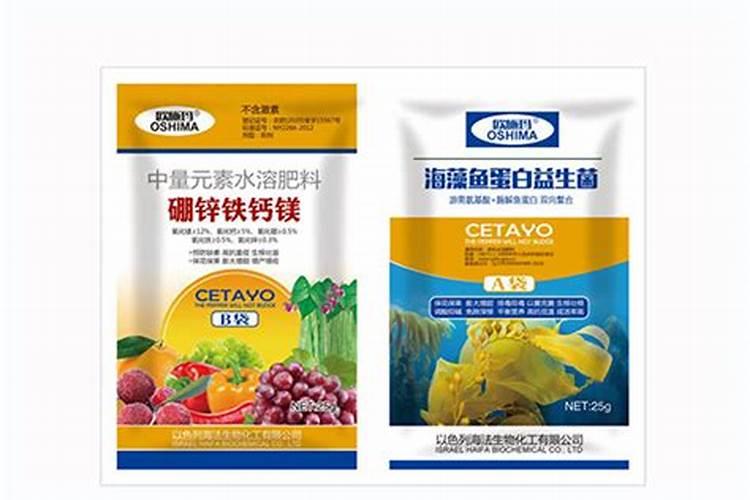 冬枣高效种植管理要点 冬枣怎么施肥比较好