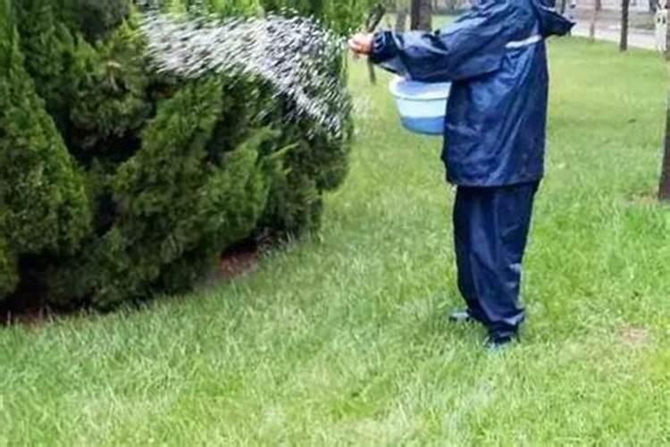 硼肥1克兑多少斤水