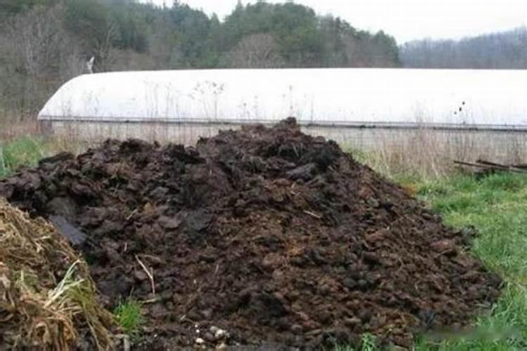 用草浸泡发酵后可以做肥料吗