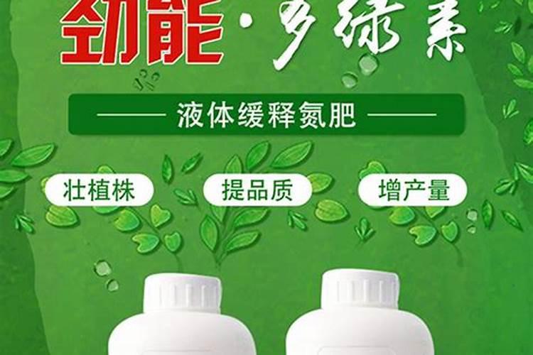 苹果树打药时间与用药方法