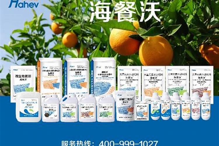 土豆膨大期施什么肥？磷酸二氢钾能助增收吗
