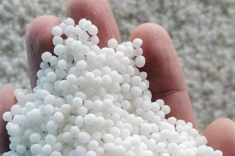 淄川寨里哪里出售羊粪