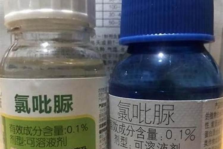 樱桃坐果的时候用什么肥料好