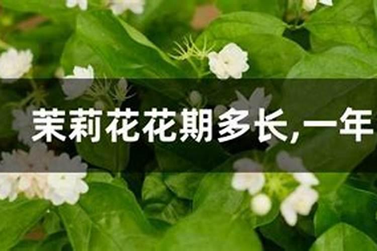 尿素可不可以干撤,肥效能失效吗