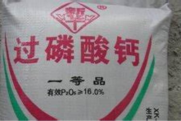 无花果挂果后施什么肥