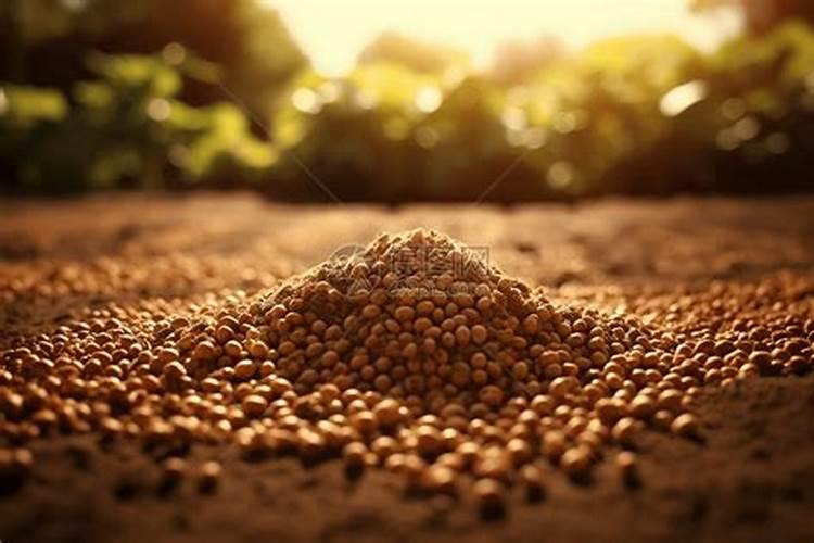 有机肥料是什么肥