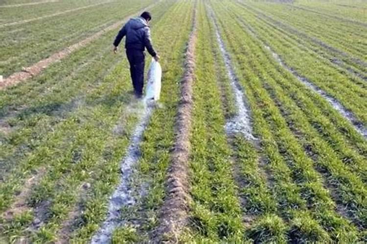 如何用泥炭土配制花圃、花卉营养土？