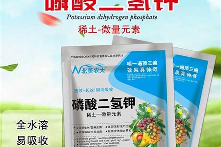 硫酸二氢钾能叶面喷施吗？