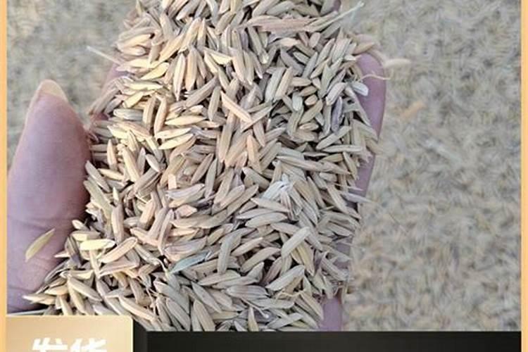 水稻肥料最佳配比