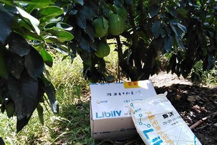 现在用补钙肥和平衡肥喂苹果行吗？