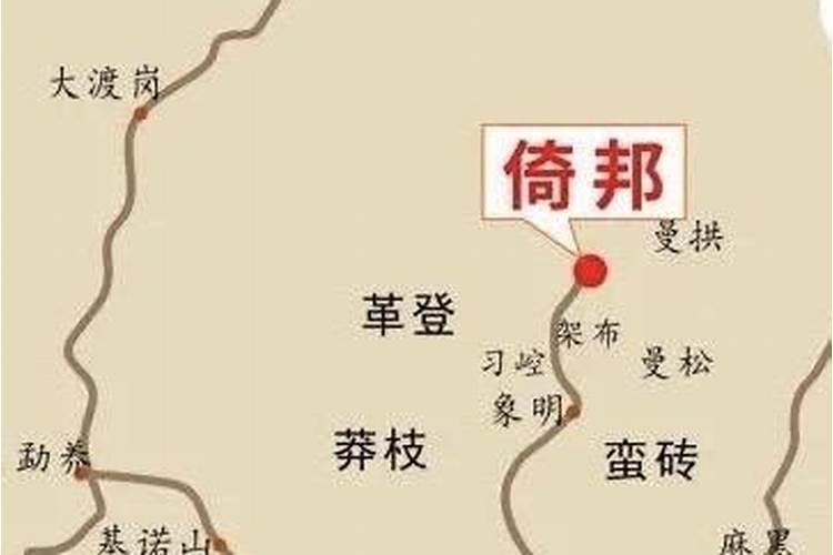 三叶草的花语和意义是什么？？？