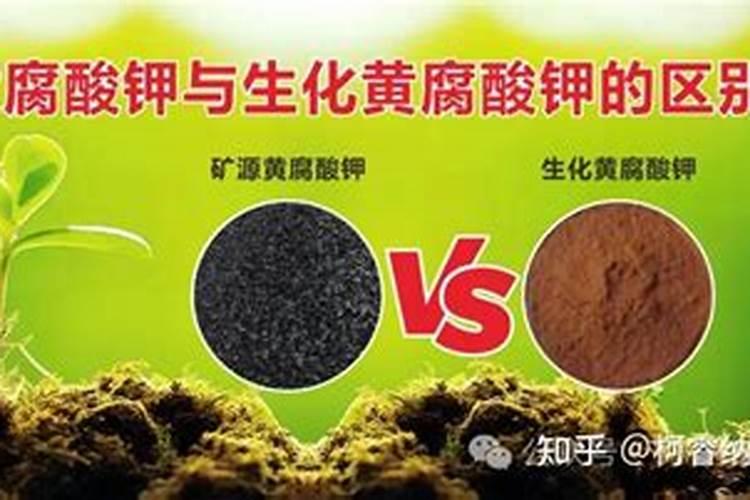 栽种果树需要注意什么 种植果树的管理方法和注意事项