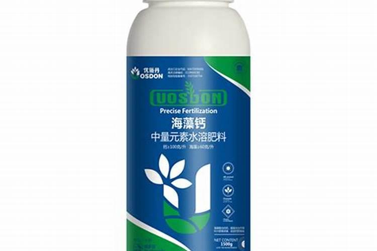 草莓盆栽需要每天浇水吗