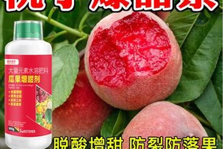 桃树需要什么肥料产量高 桃树底肥施什么肥料最好