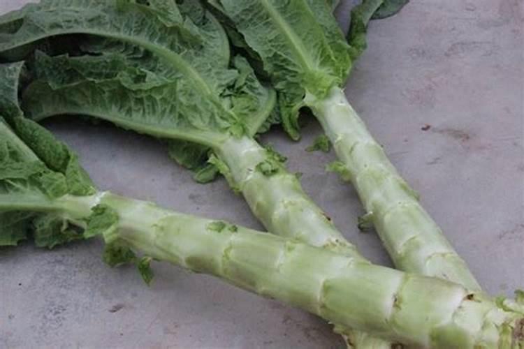 花菜施什么肥最好