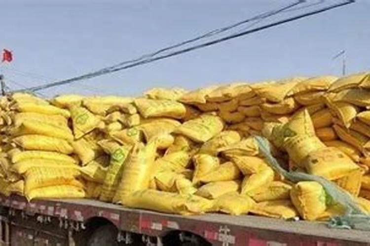 种植辣椒的时候,养根的方法都有哪些？