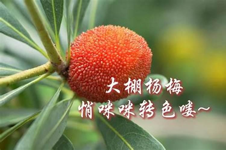什么是磷肥 天然的磷钾肥有哪些