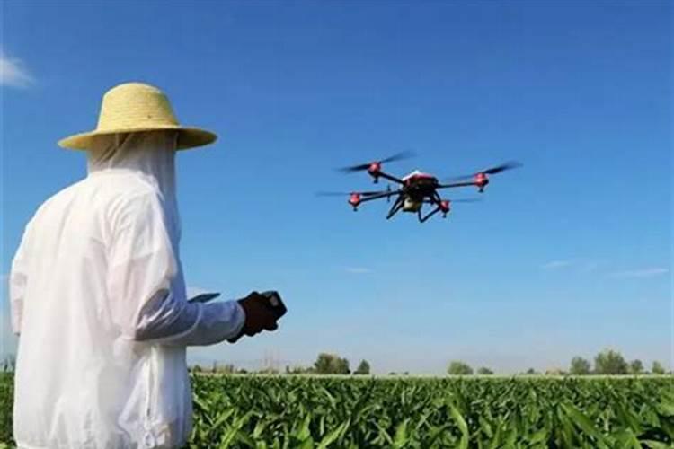 碧护大量元素水溶肥价格