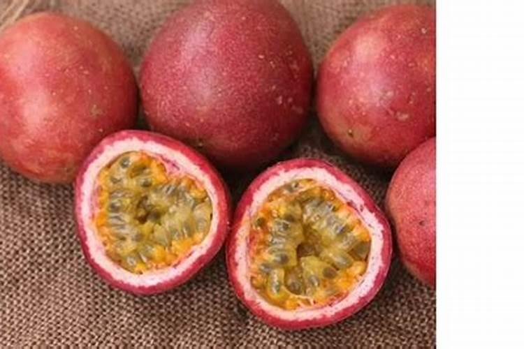 鱼油和鱼蛋白哪种做肥料好