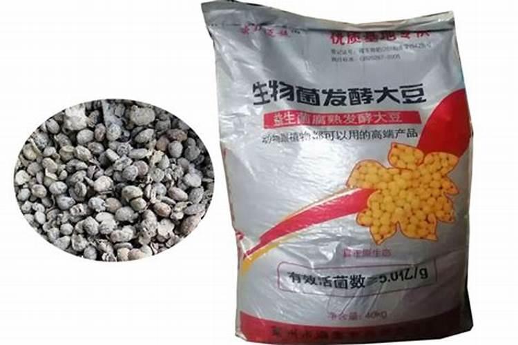 伏天花椒育苗最佳时间