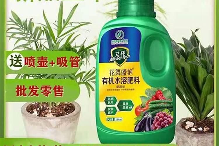 柑橘转色采收期如何施用水溶肥,颜值高品质才能更好