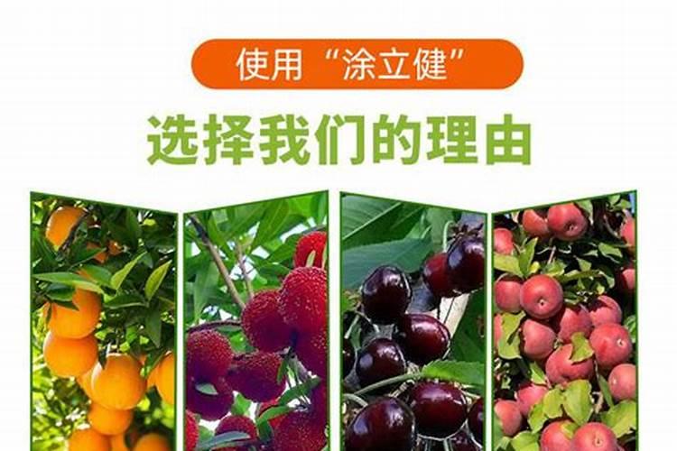 氨基酸叶面肥是什么？可以促进果树坐果吗？