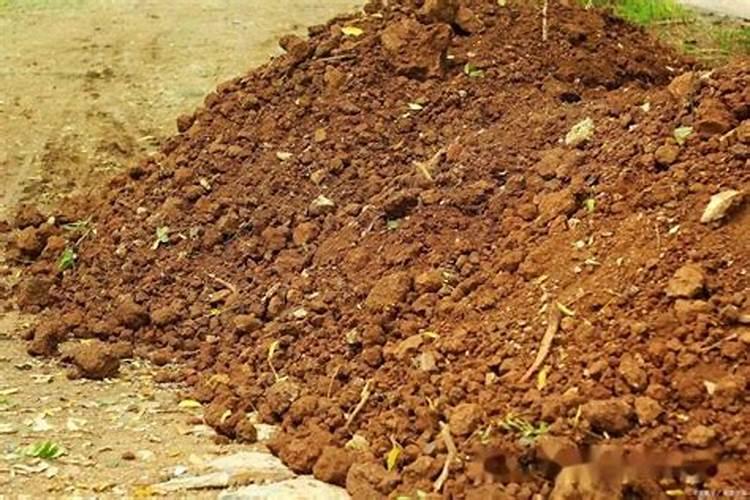 营养土的配制方法营养土的配制方法有哪些