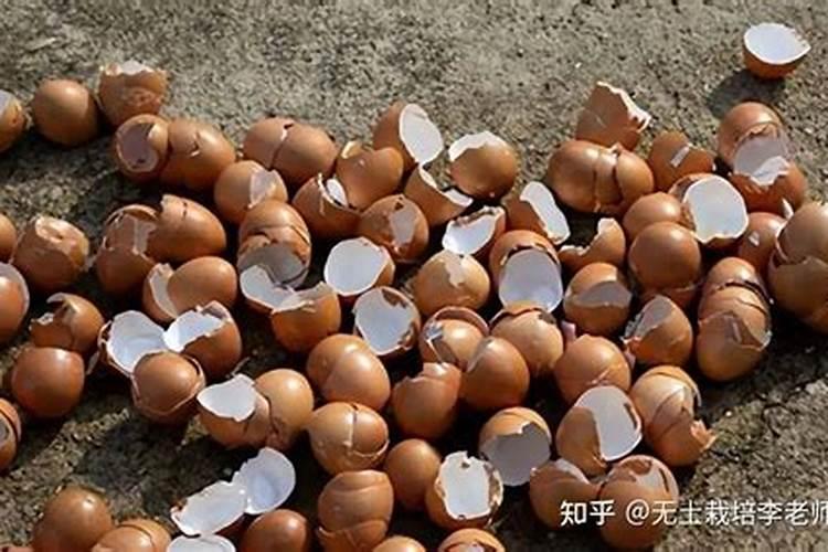 怎么给花补氮肥