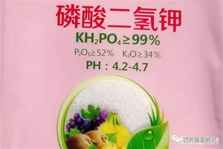 锌肥叶面喷施注意事项