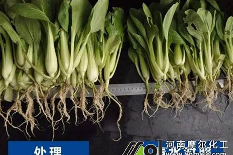化工产品包括什么