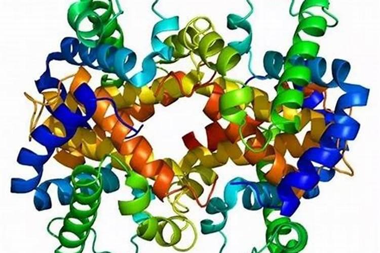 含钙高的蔬菜有哪些 吃哪些蔬菜补钙效果好