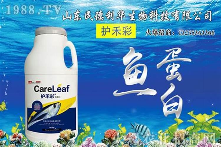 芸苔素内酯哪个厂家好