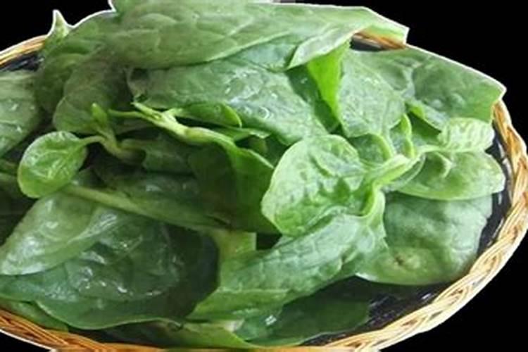 空心菜几天施一次肥