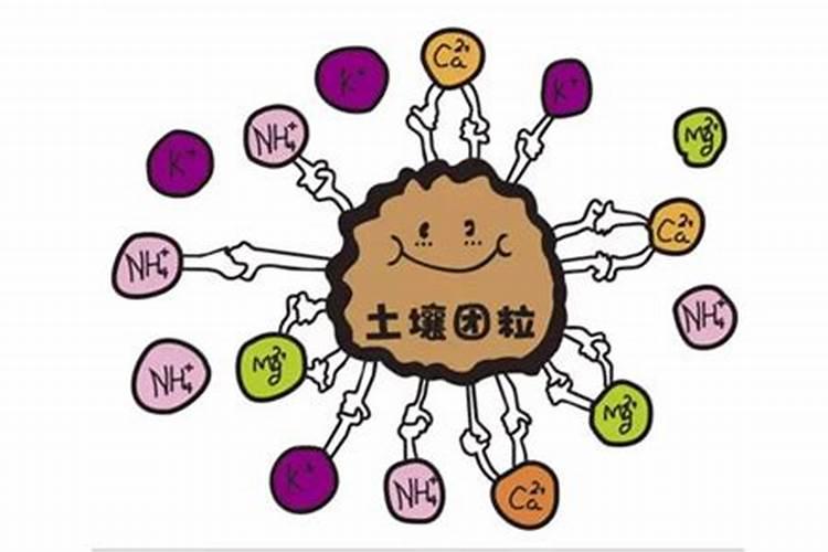 玉米需要多少氮磷钾肥