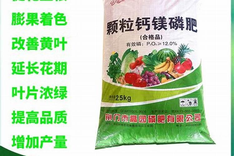 大圩葡萄园有多长