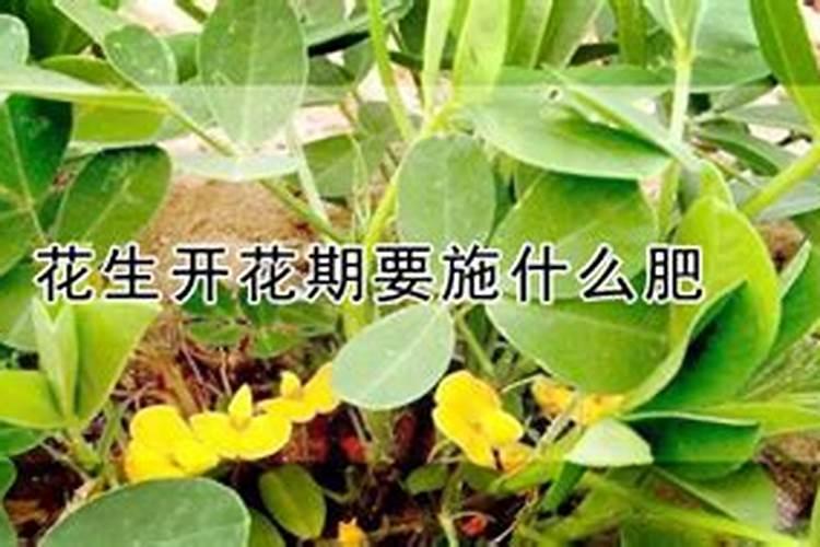 中国的葡萄那里最有名？