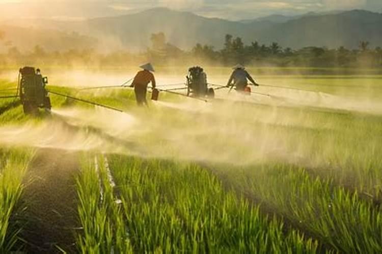 如何制作农家肥？