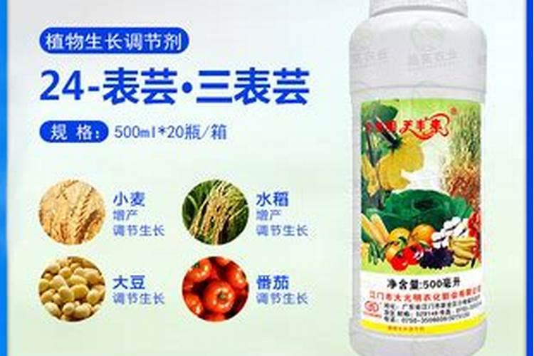 吡唑醚菌酯十芸苔素十磷酸二氢钾对梨树有什么好处一季水稻可以喷几次...