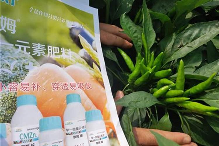 樱桃现在摘完了 应该使用什么什么肥料？
