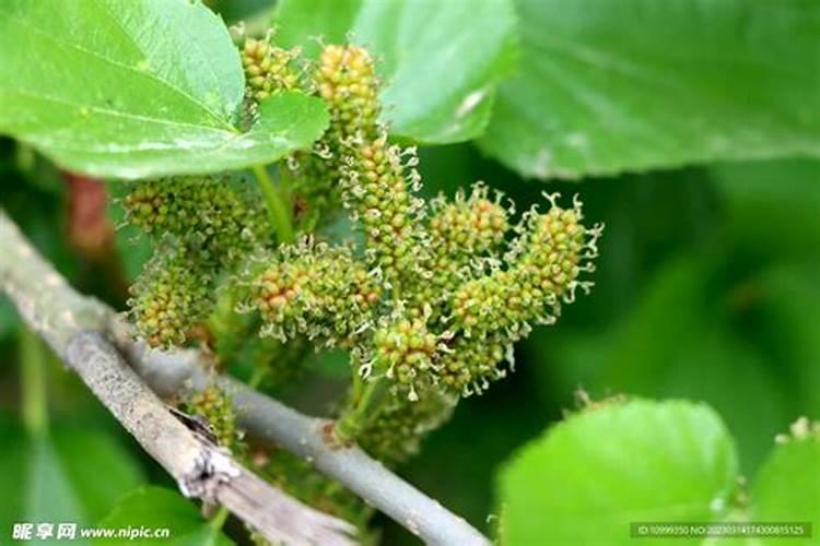 大量氮磷钾肥料产生的后果