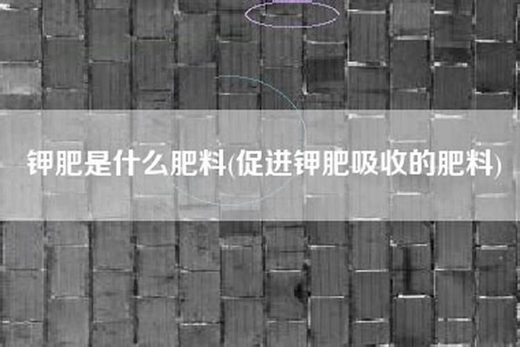 番茄开花结果期怎样浇水施肥