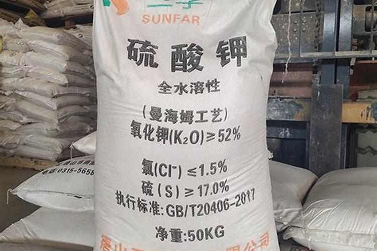 夏天西红柿盆栽怎么浇水 夏天西红柿盆栽怎么浇水好