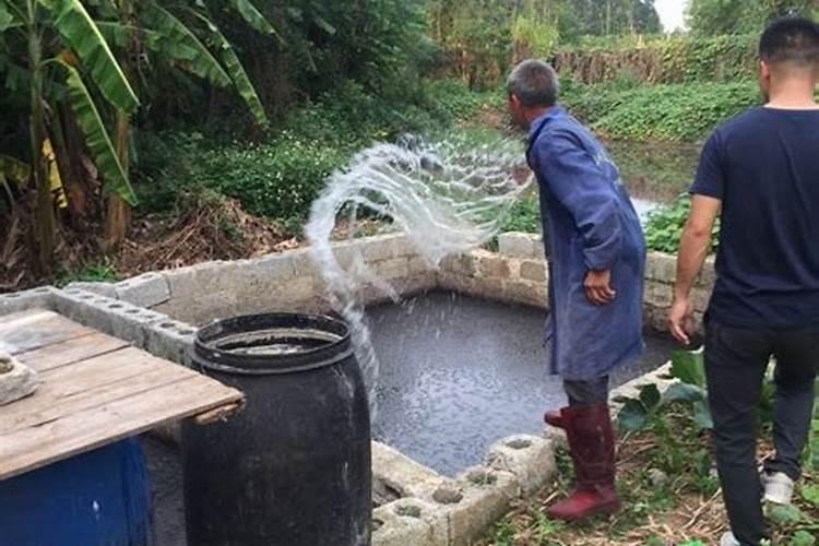 怎样避免果树大小年现象,永春碳基生态肥的优势