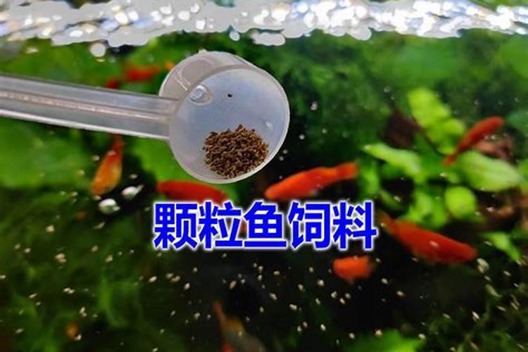 草莓需要叶面肥的时期及草莓叶面肥的施用要点