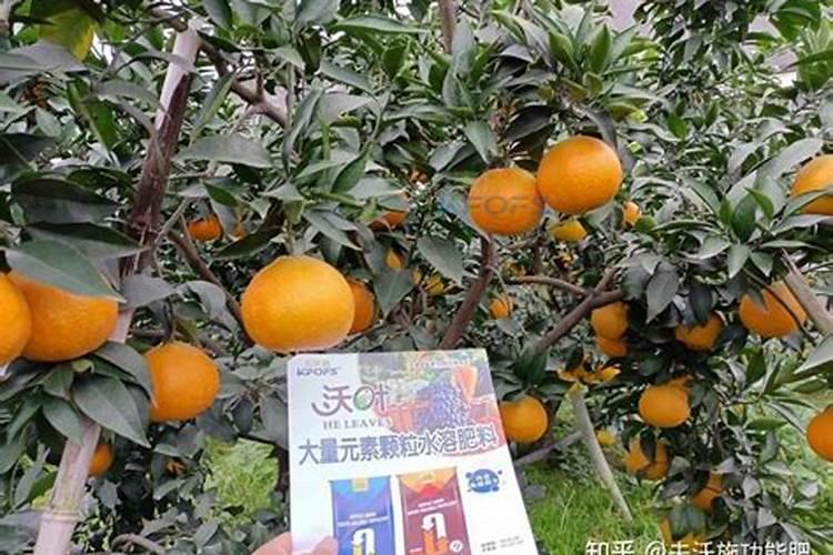 硅肥适用于哪些作物？