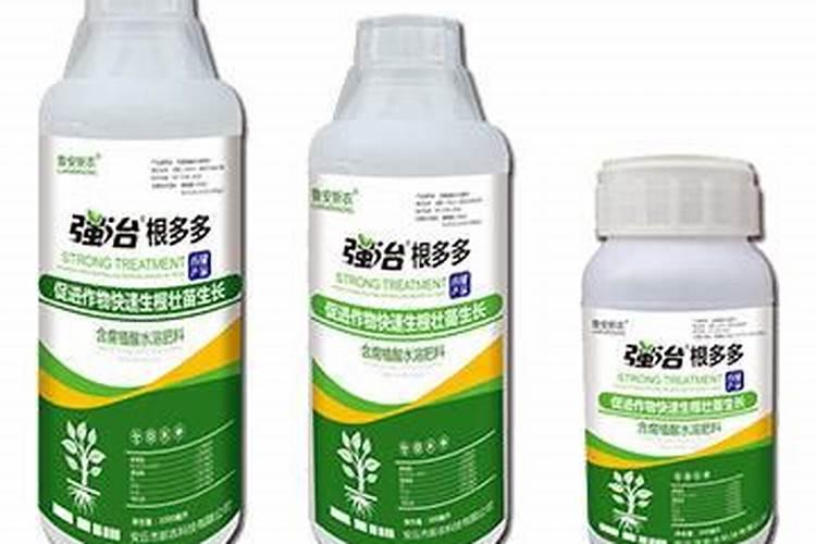 现在农历八月树可以种活吗(八月份种树能活吗)