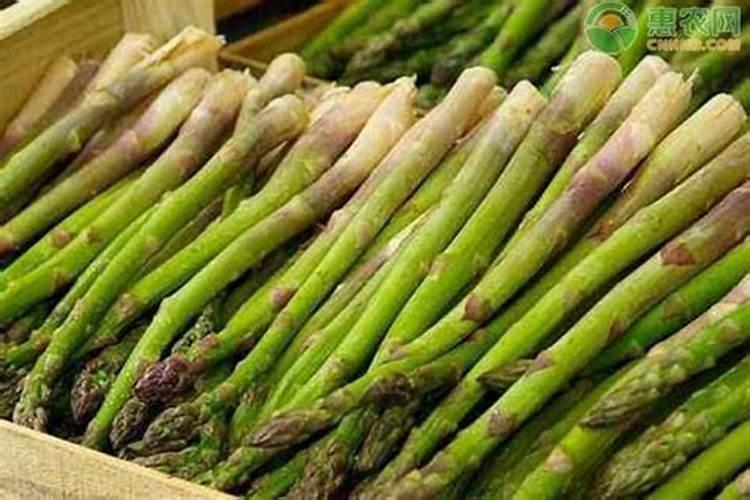 芦笋喜欢哪些肥料